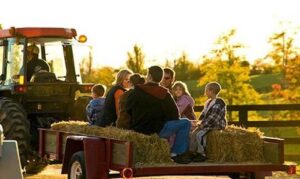 hay ride fall bucket list for students