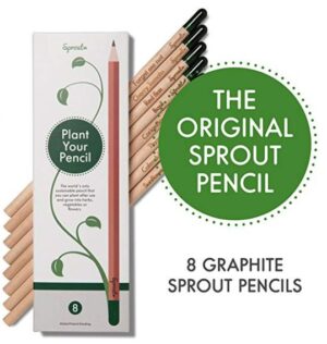 tree pencils gift idea