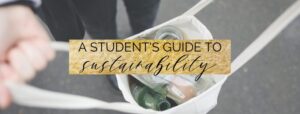 a student's guide to sustainability and zero waste | be eco friendly in college
