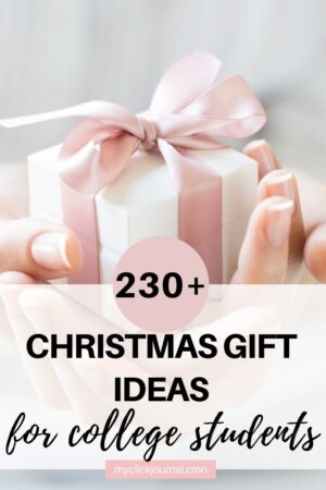 238 Gift Ideas For College Roundup Post 